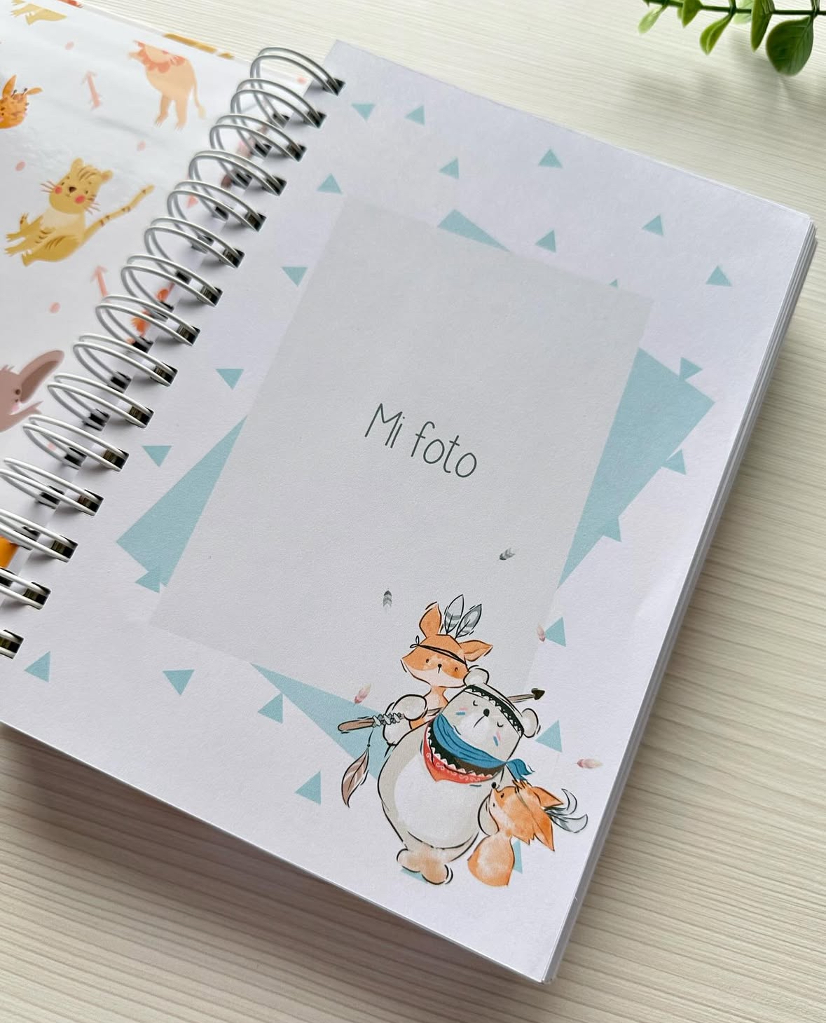 Agenda de Controles Pediátricos - Imagen 3