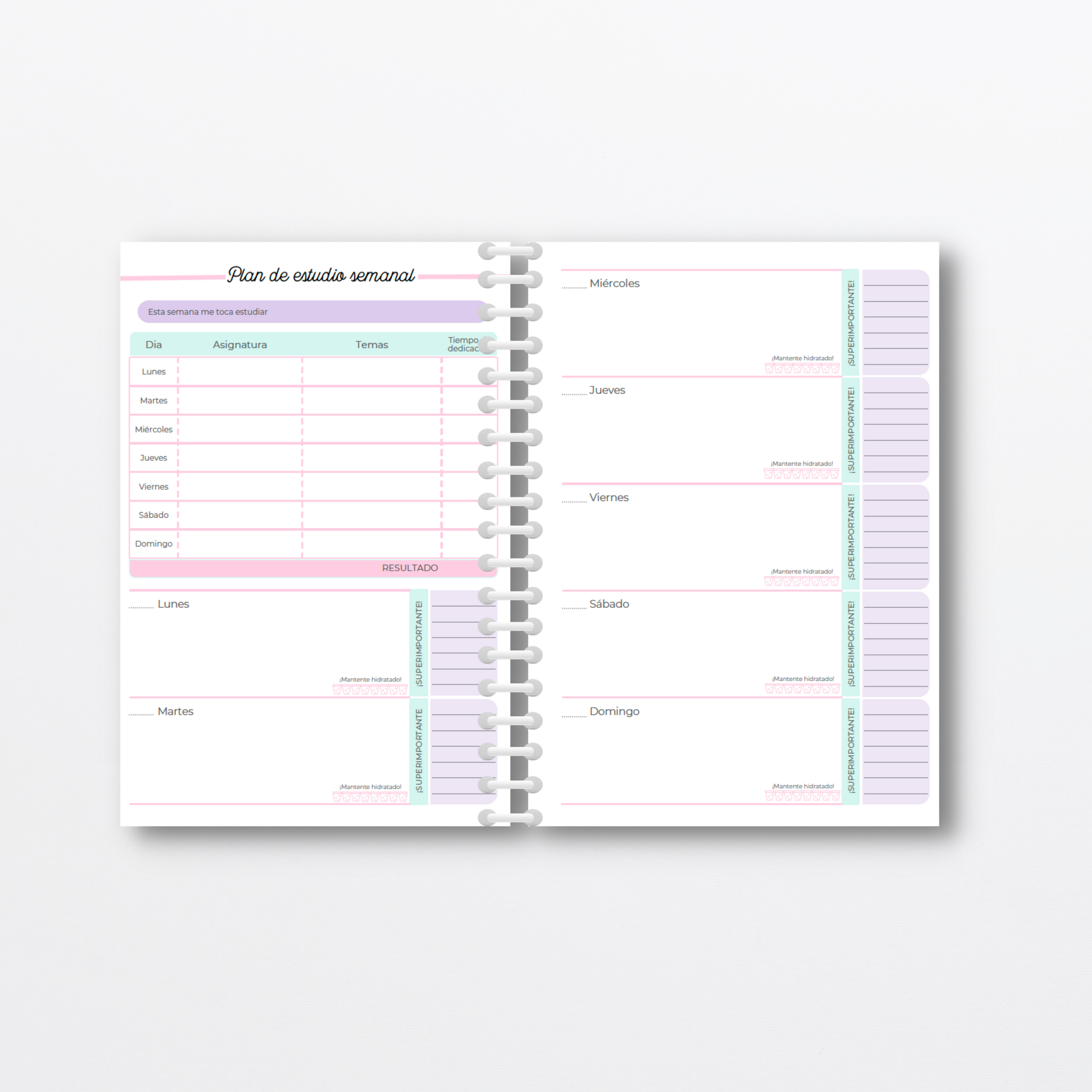 Agenda Estudiante organizada - Imagen 4