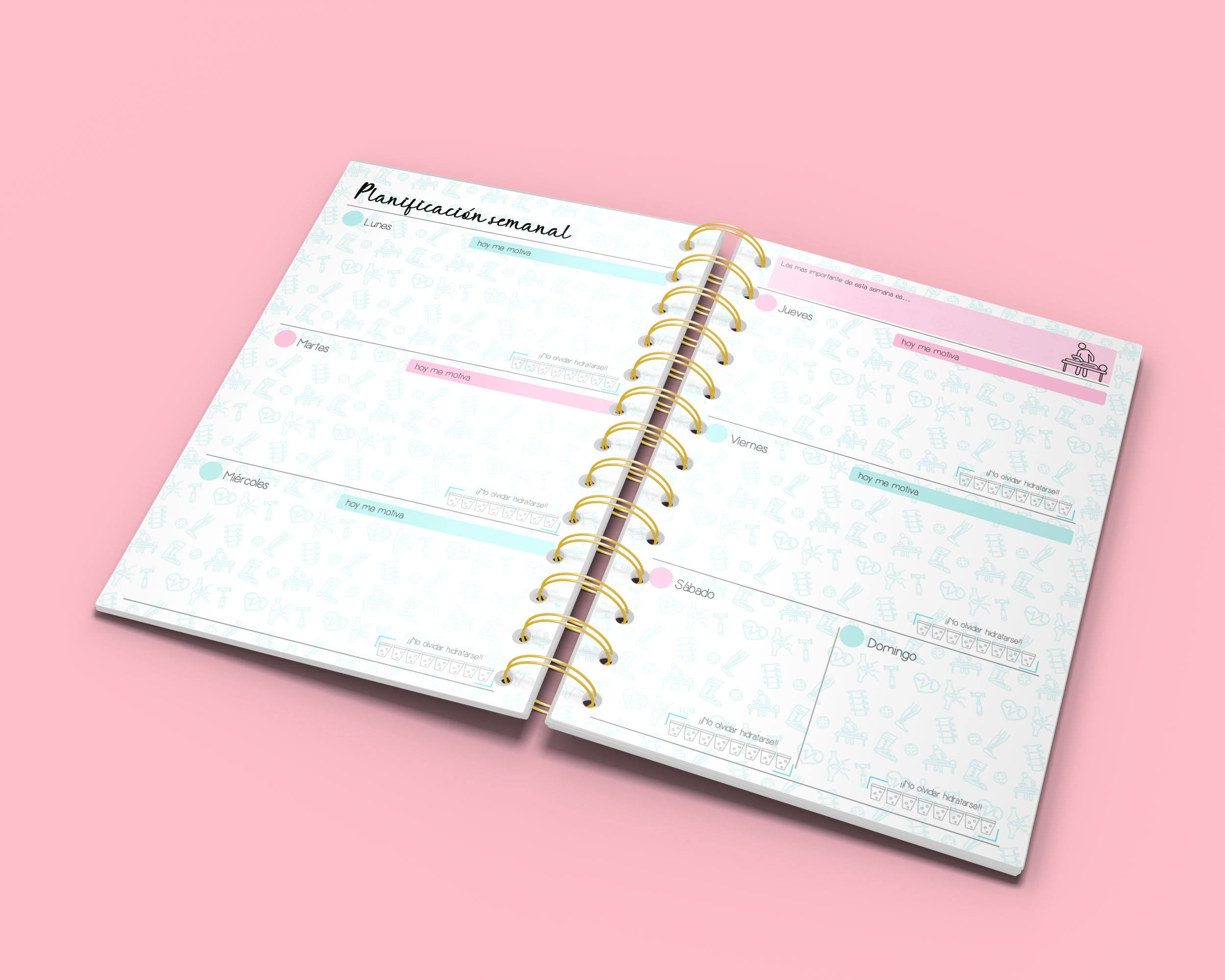 Agenda Kinesiologa - Imagen 4