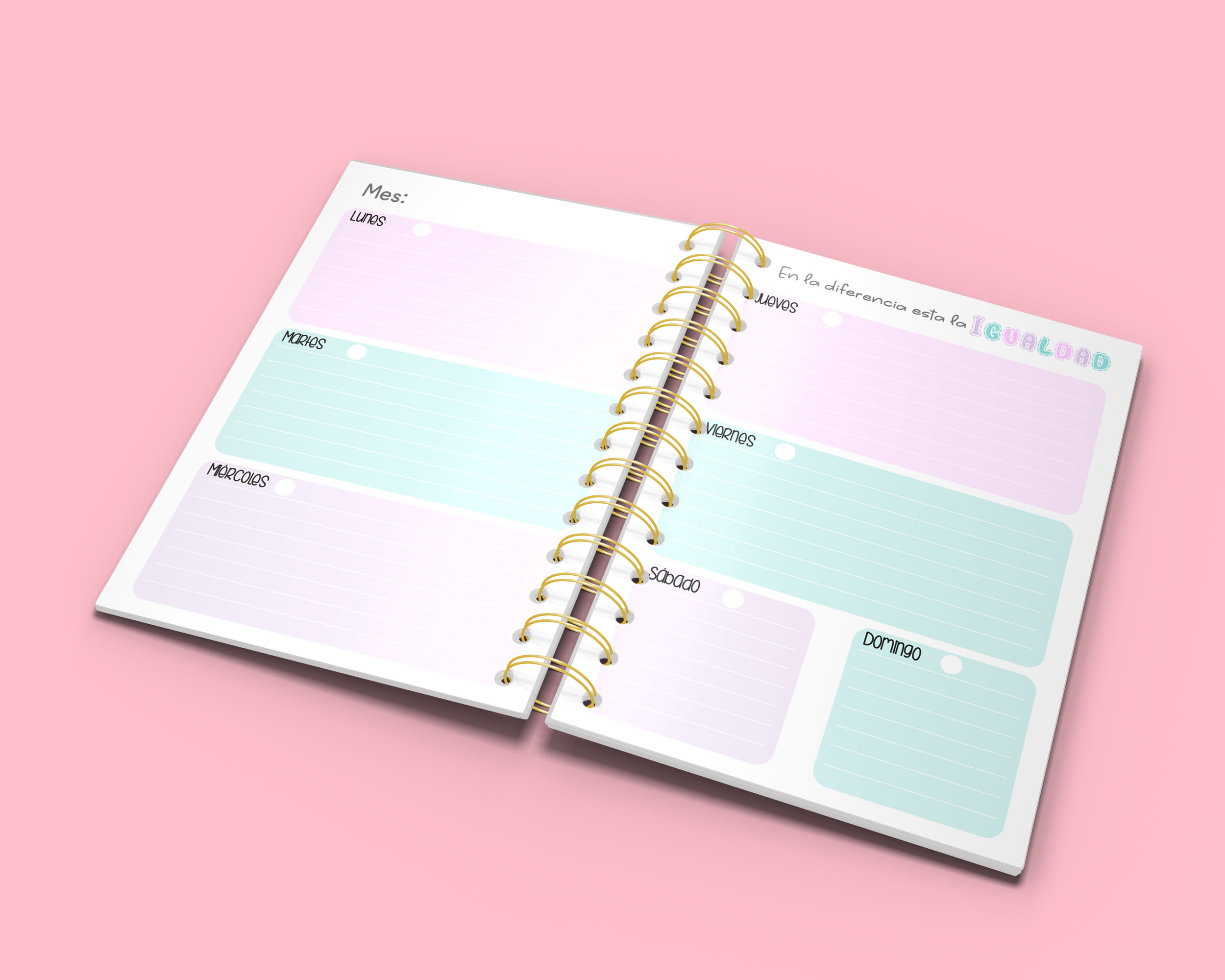 Agenda Educadora Diferencial. - Imagen 4