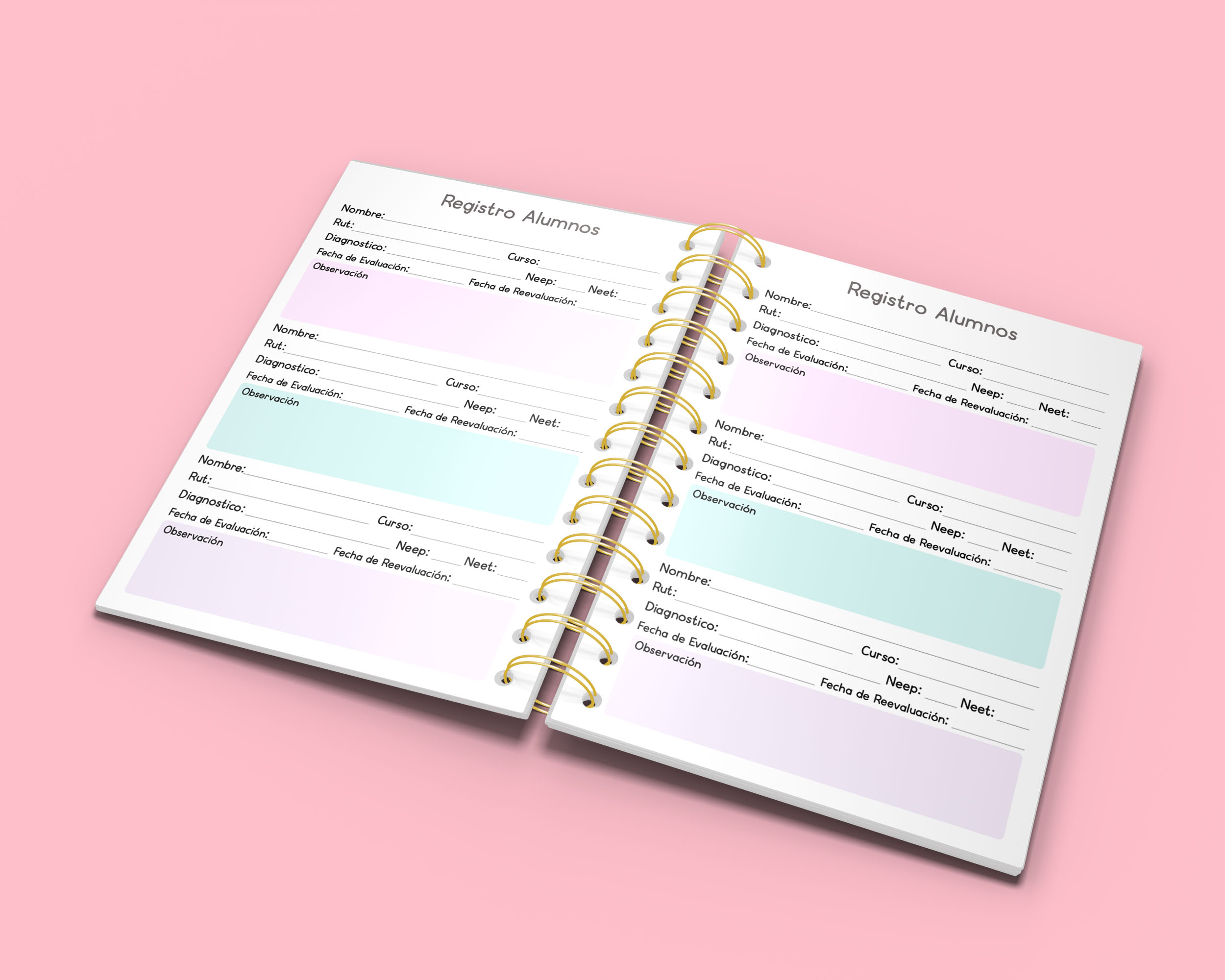 Agenda Educadora Diferencial. - Imagen 5