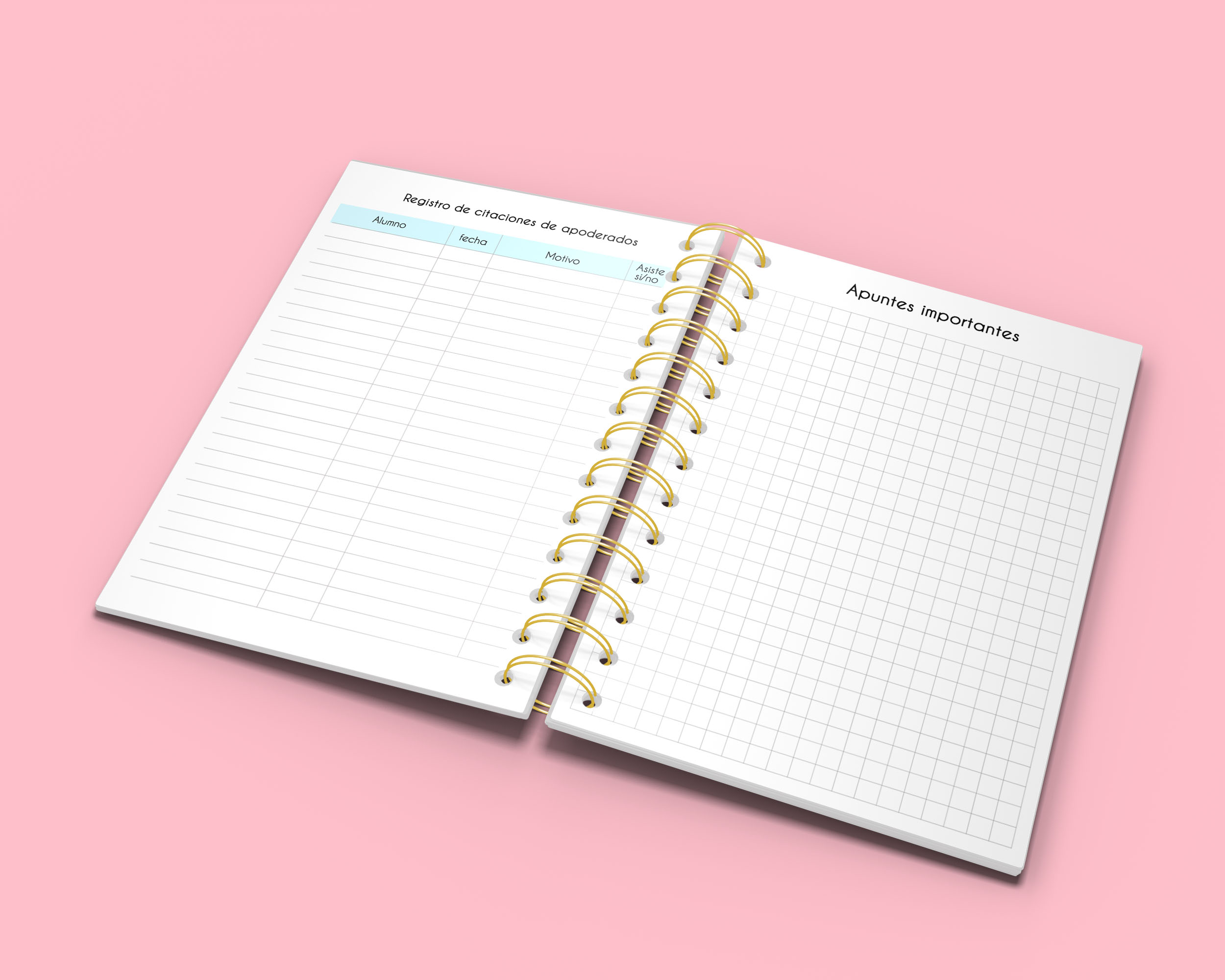 Agenda Psicopedagoga - Imagen 2