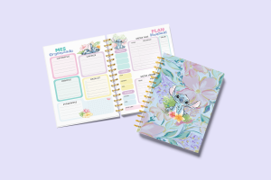 agenda stitch